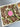 Brownie Slab for Collection